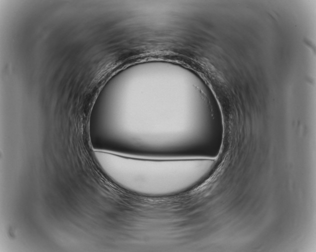 X0000096961257200802080852
