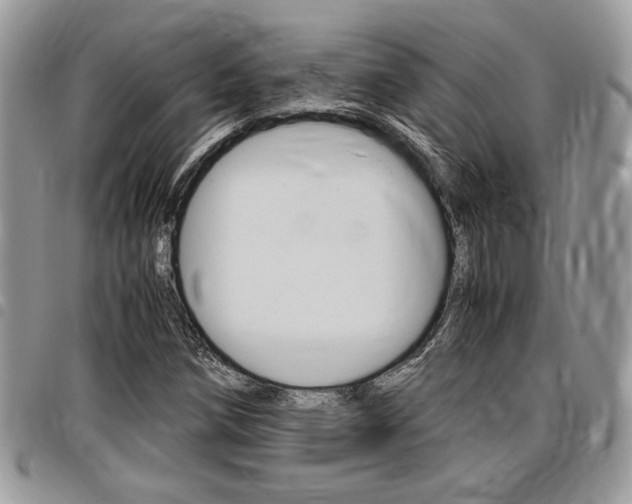 X0000096961258200802080852