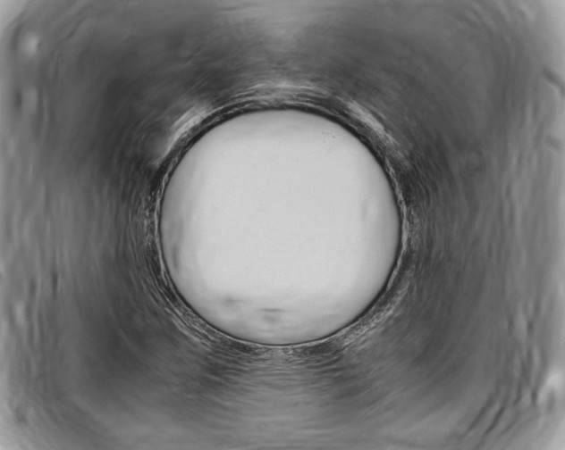 X0000096961259200802080852