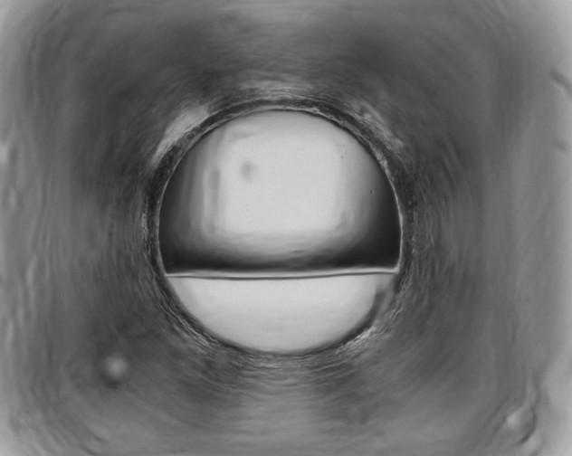 X0000096961261200802080852