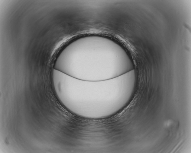 X0000096961262200802080852