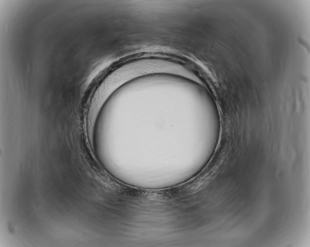 X0000096961263200802080852