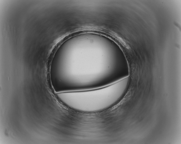 X0000096961264200802080852