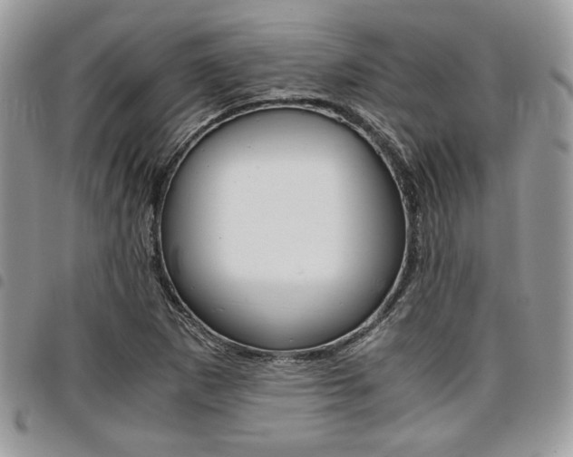 X0000096961265200802080852