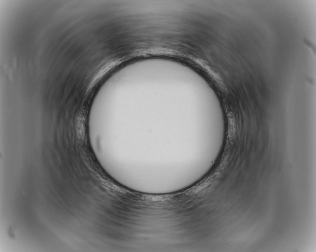 X0000096961266200802080852