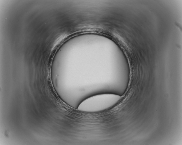 X0000096961267200802080852