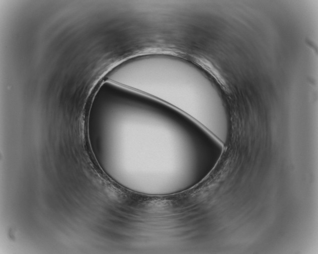 X0000096961268200802080852
