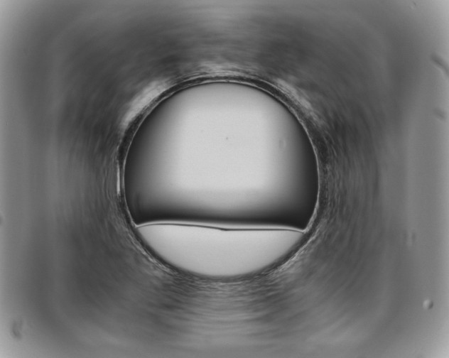 X0000096961269200802080852