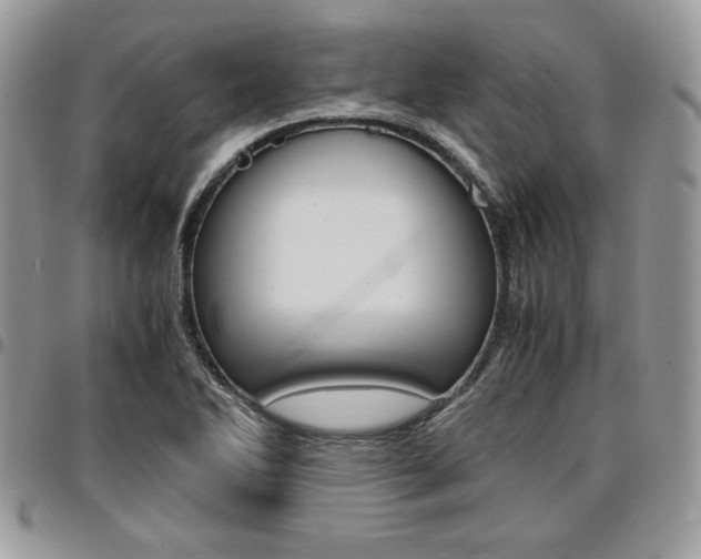 X0000096961270200802080852