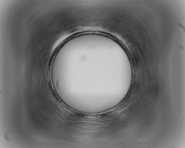 X0000096961271200802080852