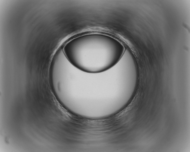 X0000096961272200802080852