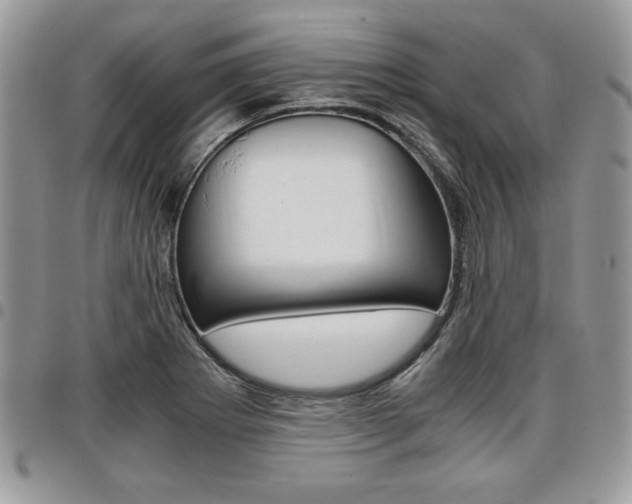 X0000096961273200802080852