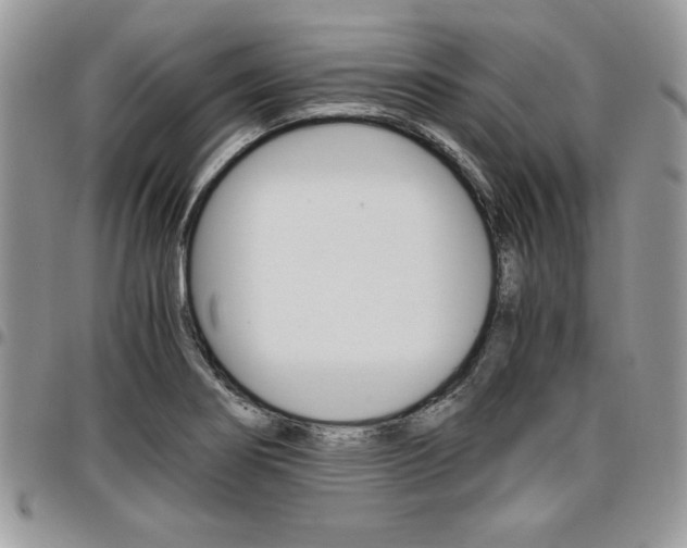 X0000096961274200802080852