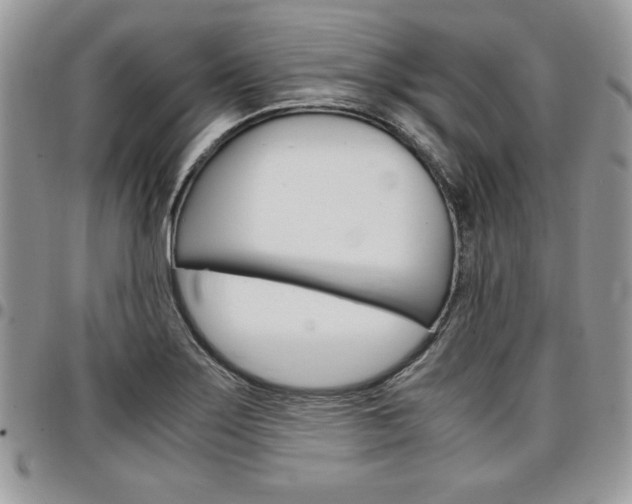 X0000096961275200802080852