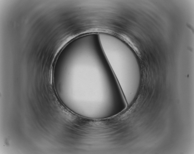 X0000096961276200802080852