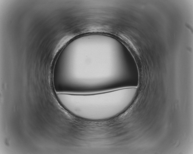 X0000096961277200802080852