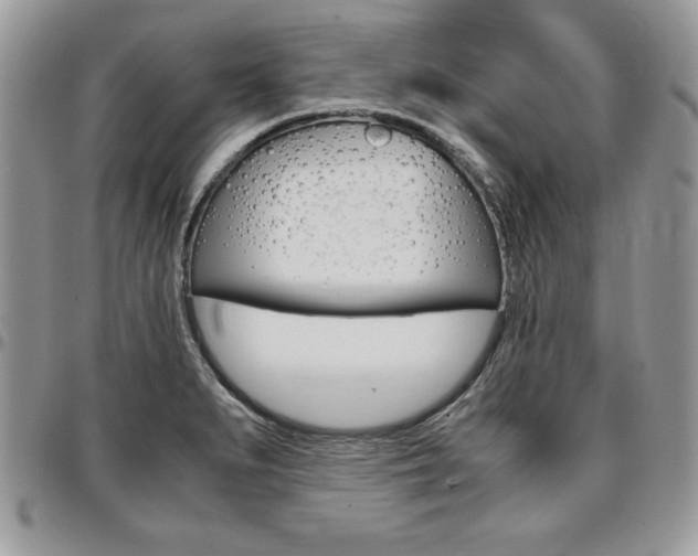 X0000096961279200802080852