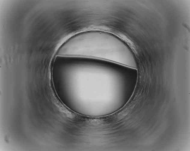 X0000096961280200802080852