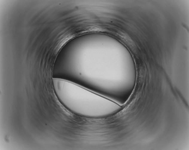 X0000096961281200802080852