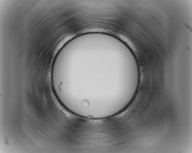 X0000096961282200802080852