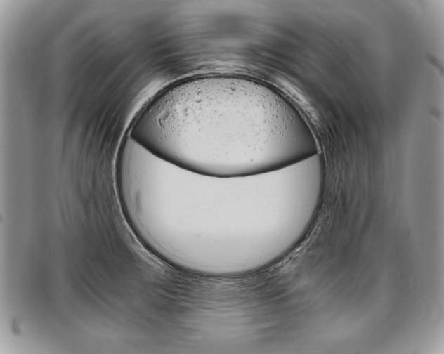 X0000096961283200802080851