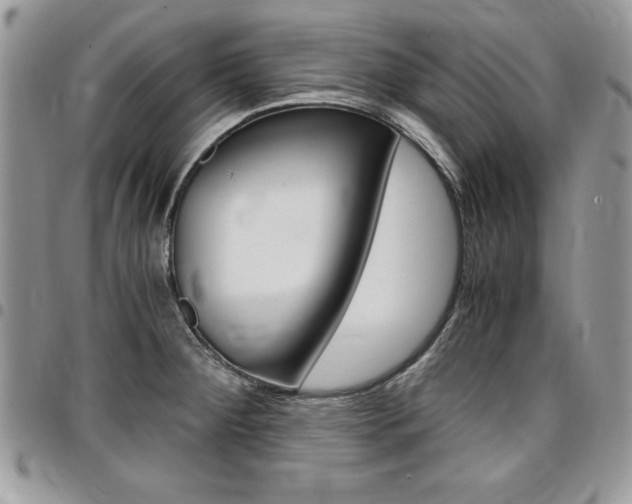 X0000096961284200802080851