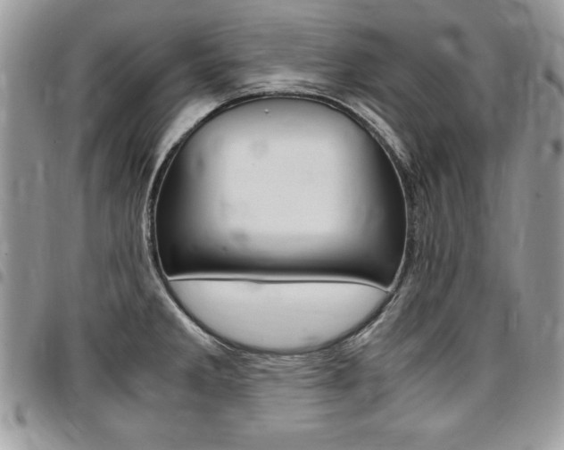 X0000096961285200802080851