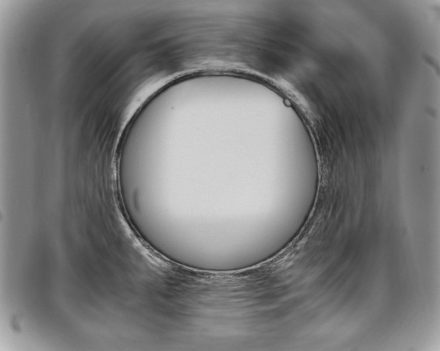 X0000096961287200802080851