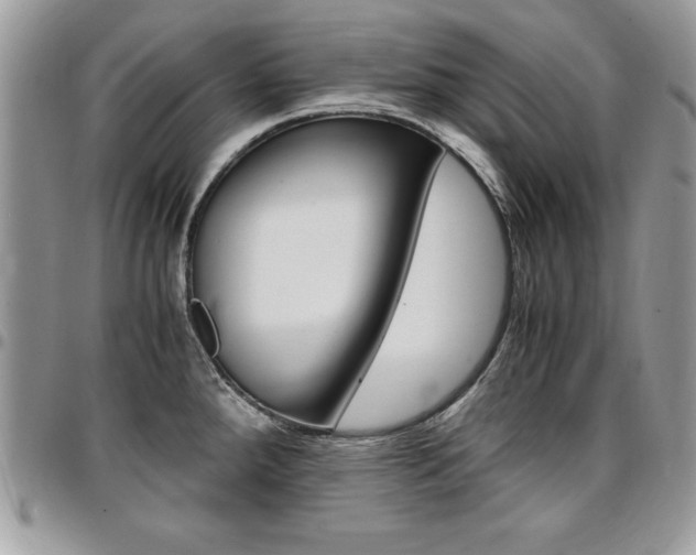 X0000096961288200802080851