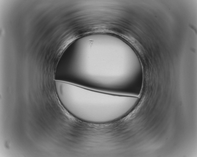 X0000096961289200802080851