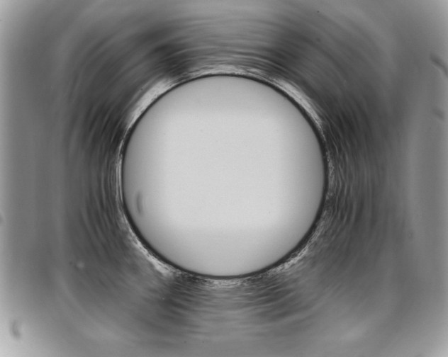 X0000096961290200802080851