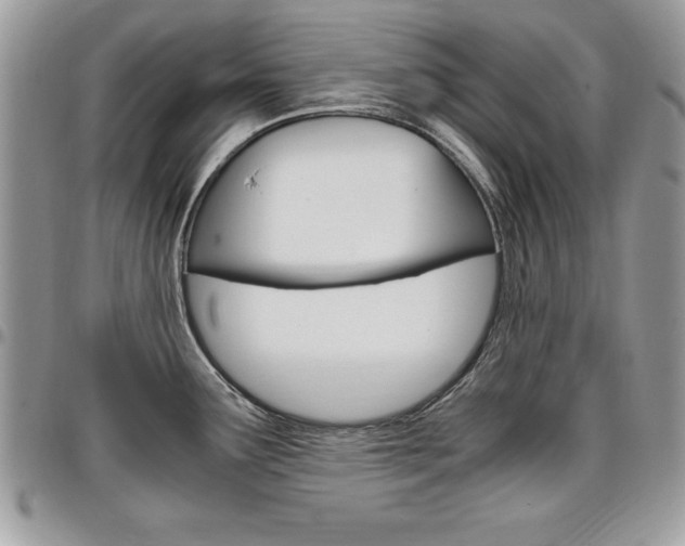 X0000096961291200802080851