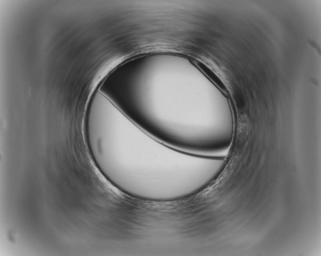 X0000096961293200802080851