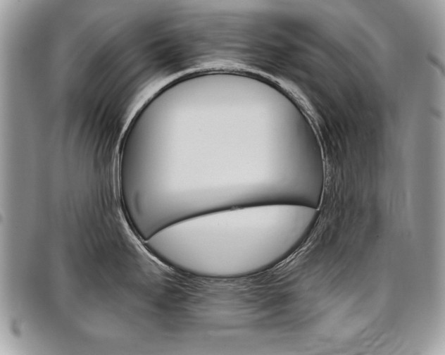 X0000096961295200802080851