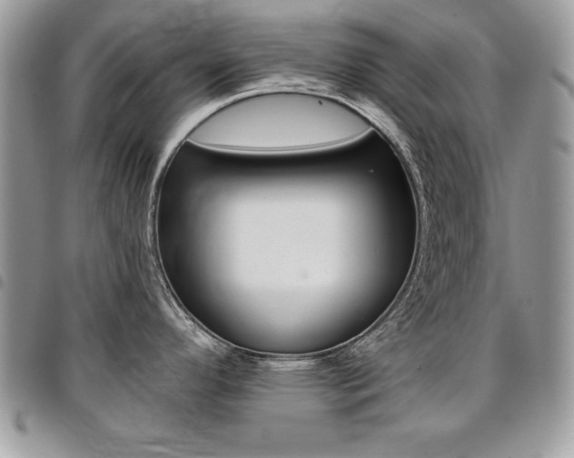 X0000096961296200802080851