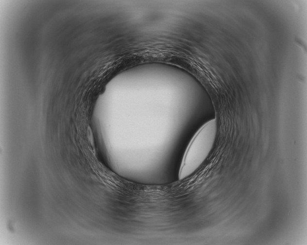 X0000096961297200802080850
