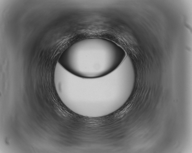 X0000096961300200802080851
