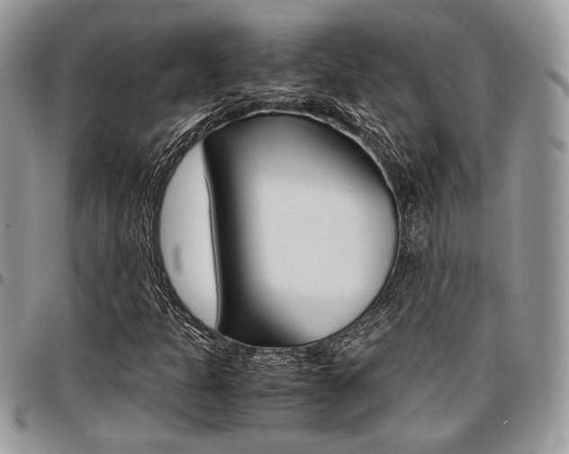 X0000096961301200802080851
