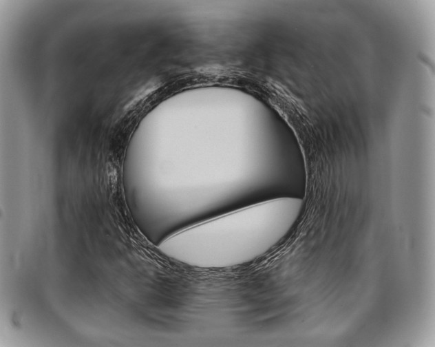 X0000096961302200802080851