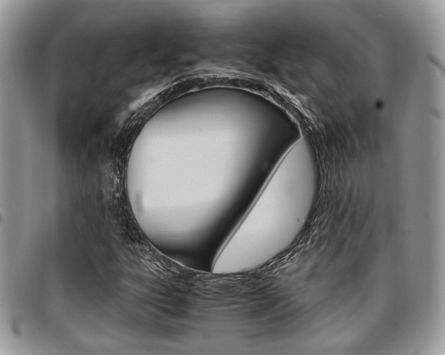 X0000096961303200802080851