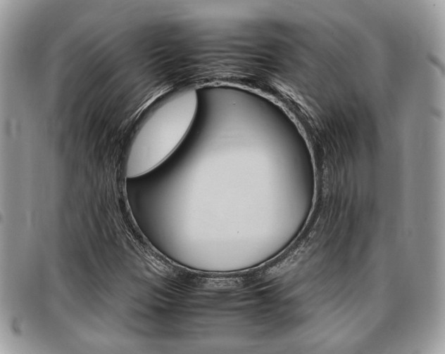 X0000096961305200802080851