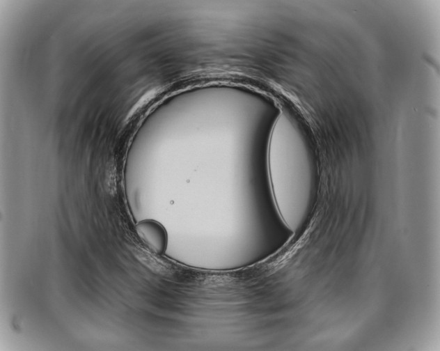 X0000096961306200802080851