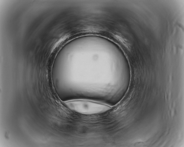 X0000096961307200802080851