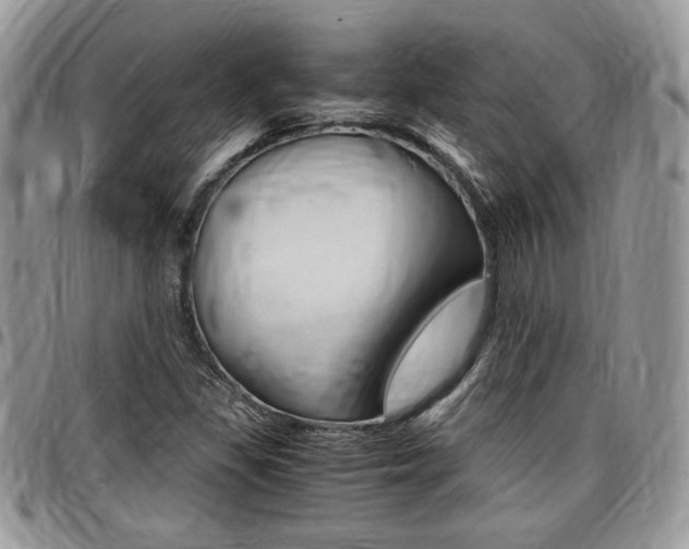 X0000096961309200802080851