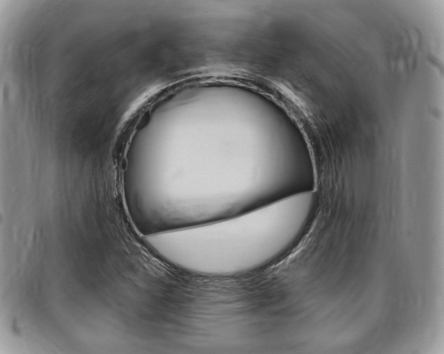 X0000096961310200802080851