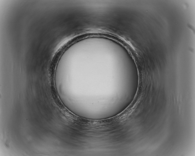 X0000096961311200802080851