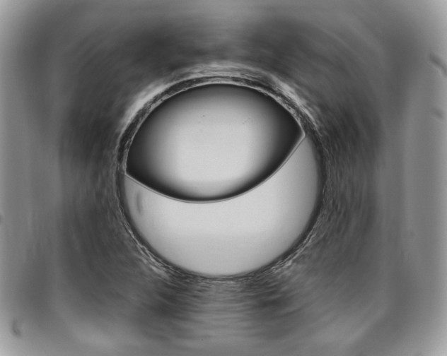 X0000096961312200802080851