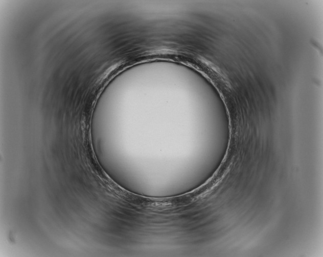 X0000096961313200802080851
