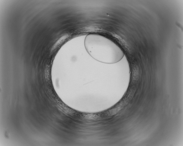 X0000096961314200802080851