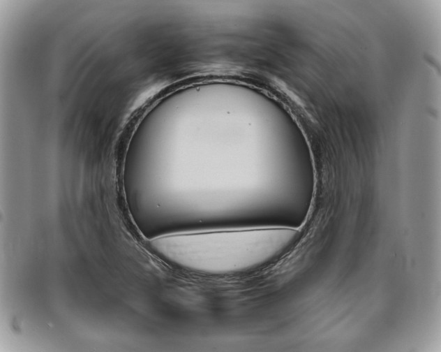 X0000096961315200802080851